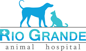 Rio Grande Animal Hospital