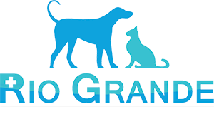 Rio Grande Animal Hospital